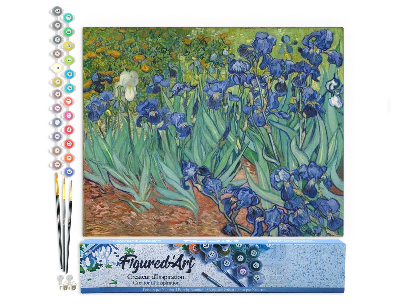 paint by numbers | Van Gogh Iris | advanced famous paintings flowers van gogh | FiguredArt