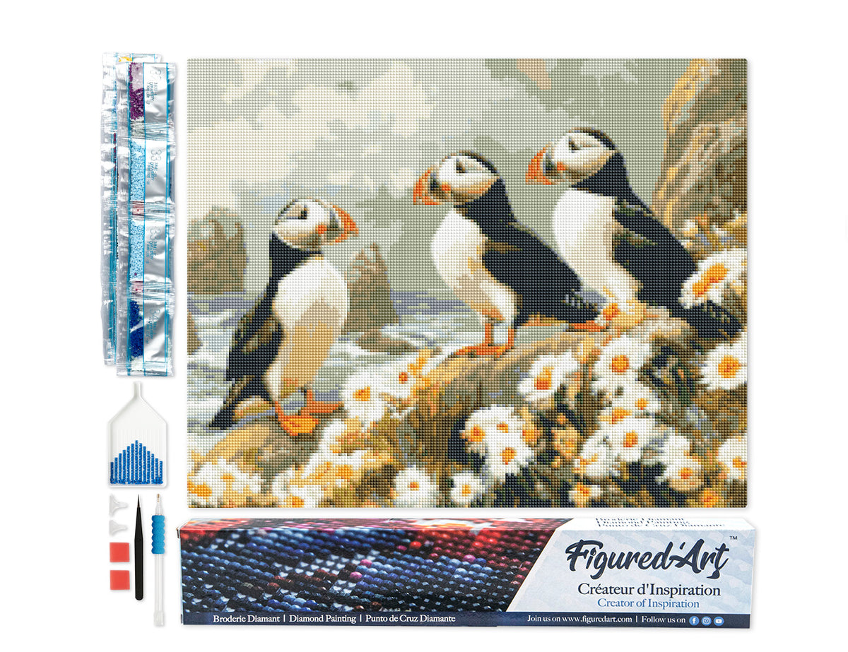 Diamond Painting - Puffin in daisy field