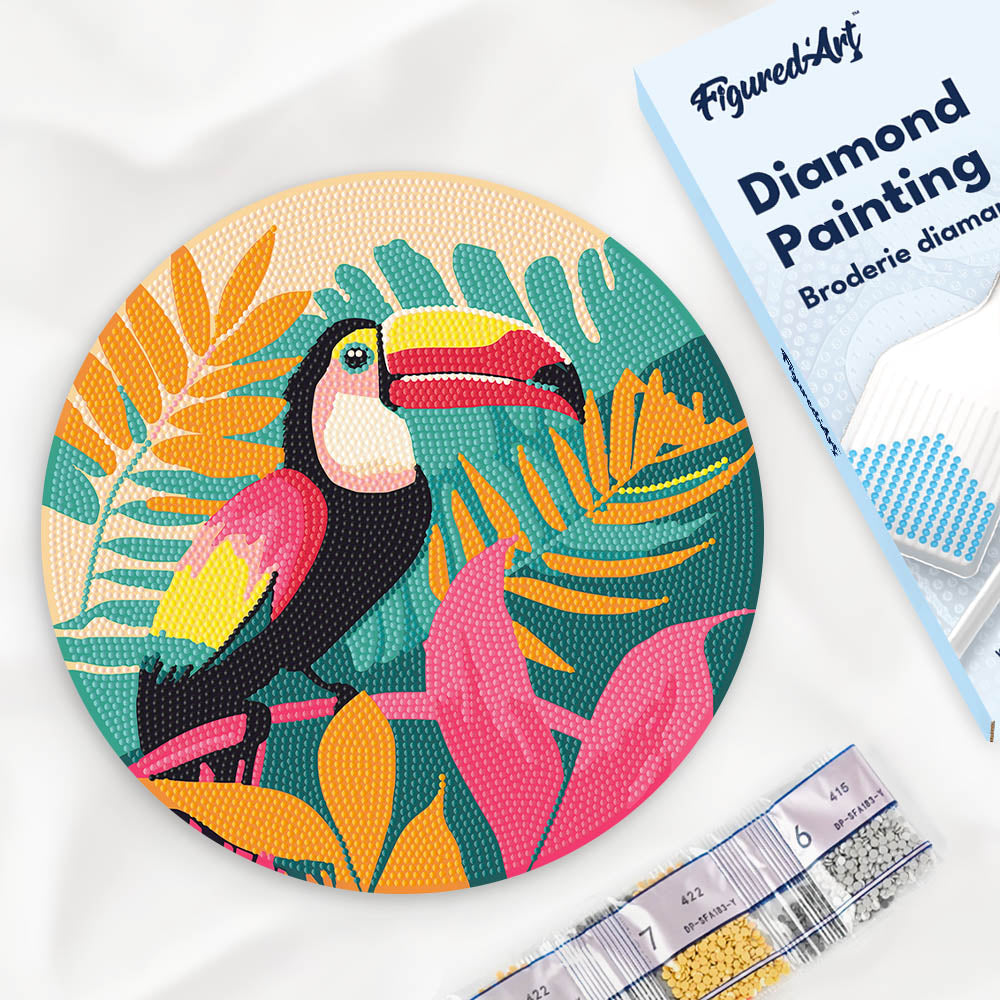 Diamond Painting on Wood Slice - Tropical Toucan Figured'Art UK