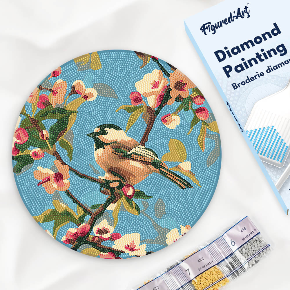 Diamond Painting on Wood Slice - Bird on Branch Figured'Art UK