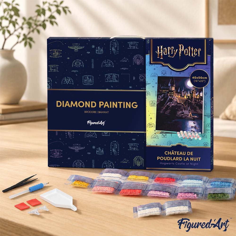 [PRE-ORDER] Diamond Painting - Harry Potter - Hogwarts Castle at Night 40x50cm Framed canvas