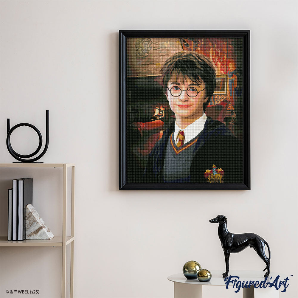[PRE-ORDER] Diamond Painting - Harry Potter Portrait - 40x50cm Rolled canvas