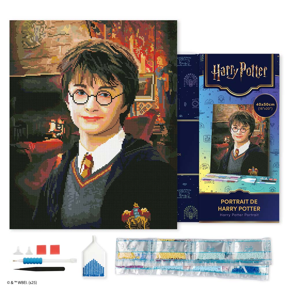 Diamond Painting - Harry Potter Portrait
