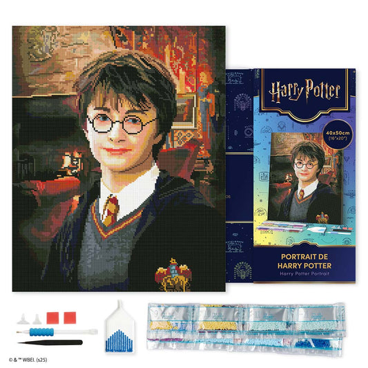 Diamond Painting - Harry Potter Portrait