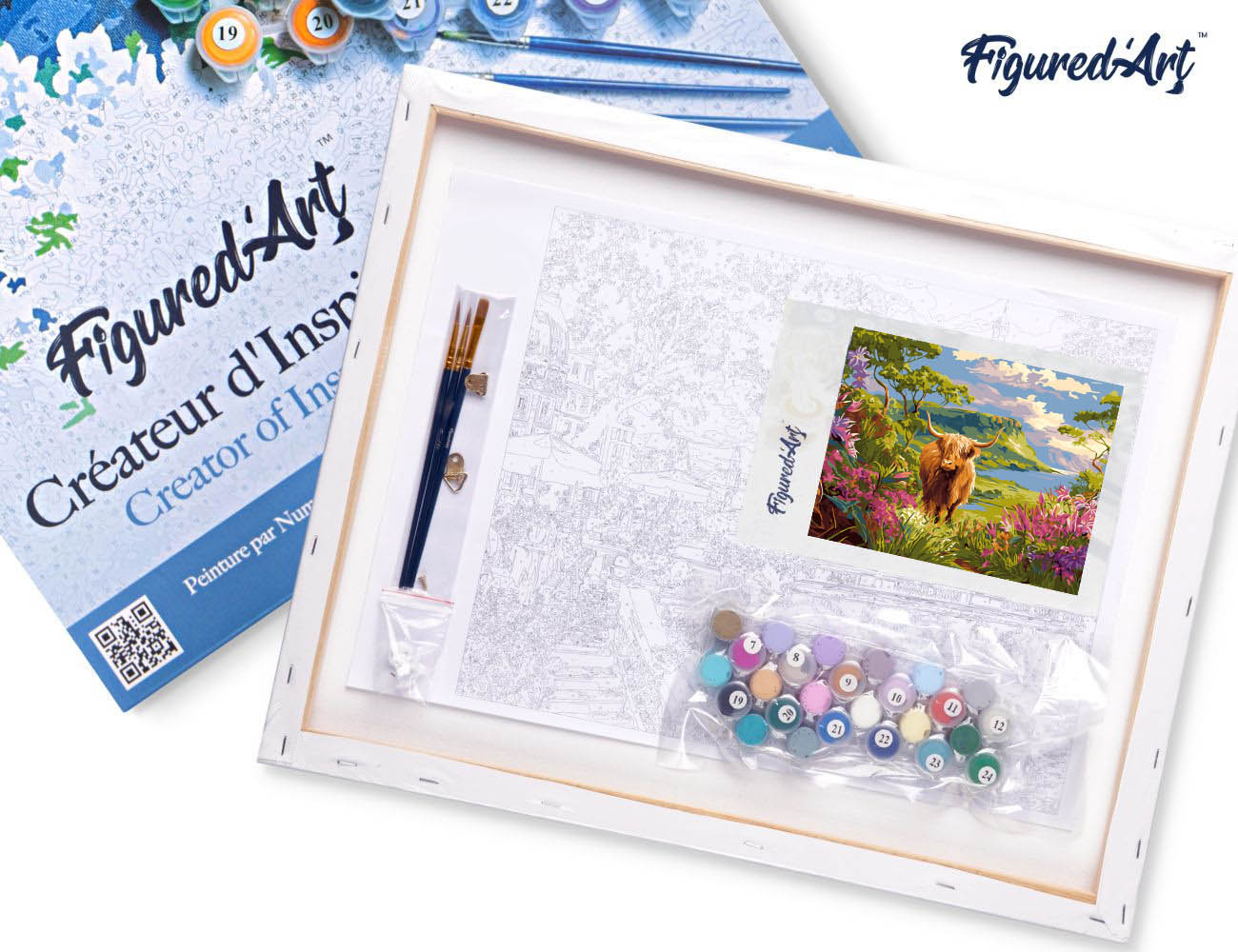 Paint by numbers Highland Cow Spring Valley - Framed canvas