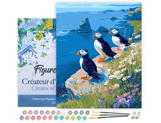 Paint by numbers Puffin by the ocean cliffs - Framed canvas