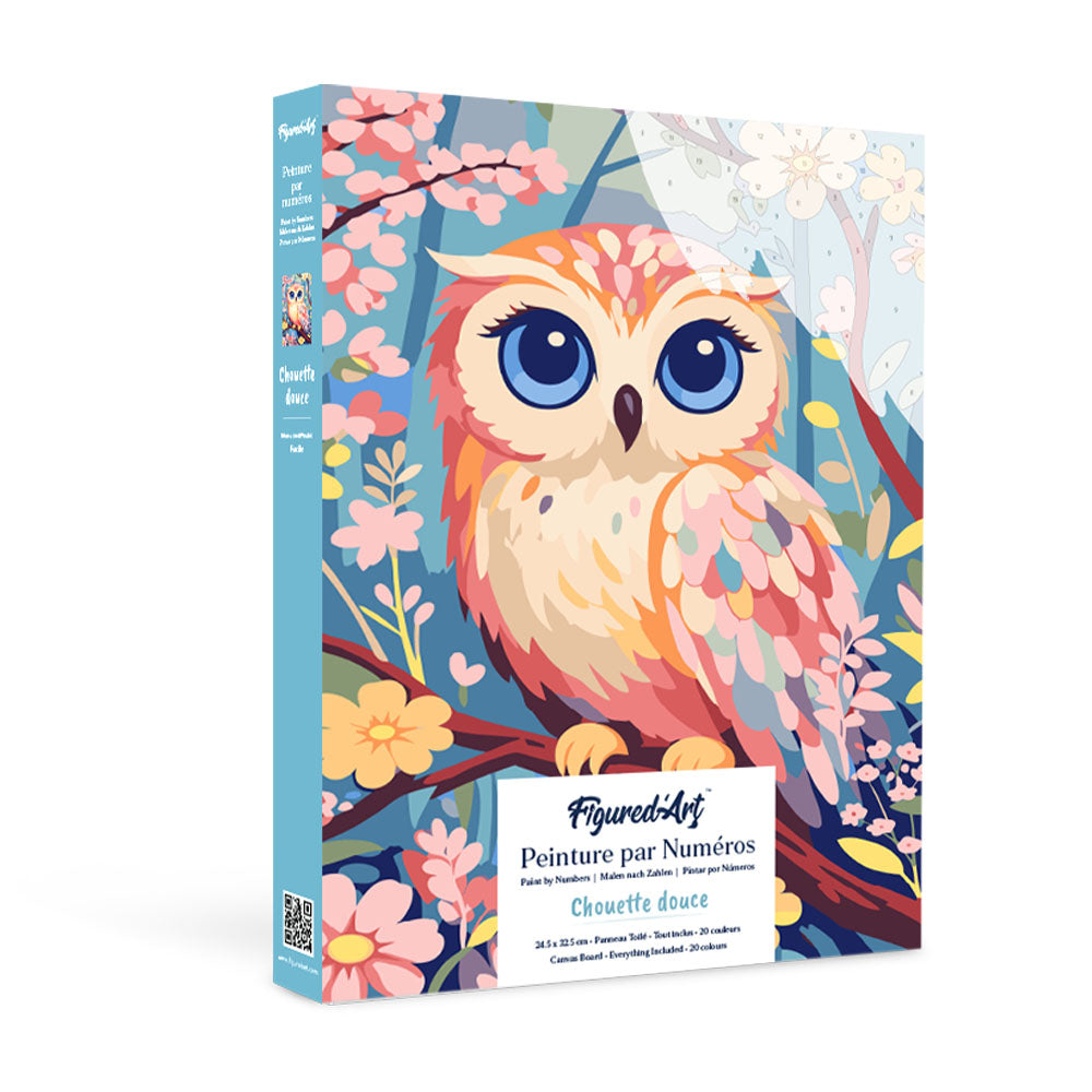 Paint by numbers kit for adults Gift Box Paint by numbers -Sweet Owl Figured'Art UK