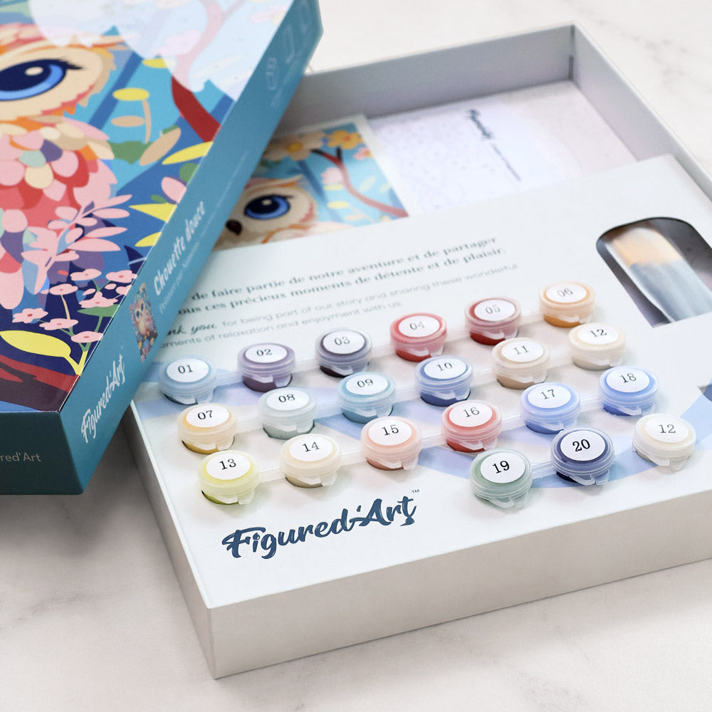 [PRE-ORDER] Gift Box Paint by Numbers - Sweet Owl