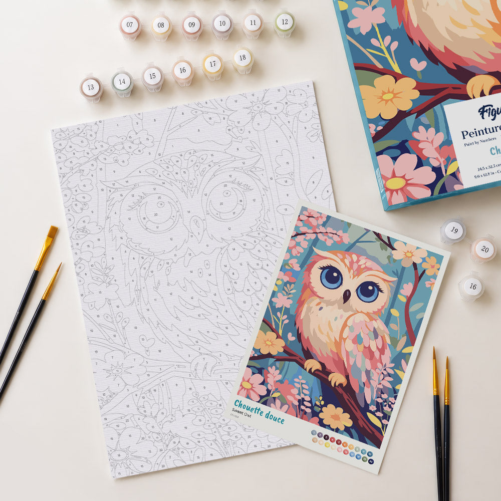 [PRE-ORDER] Gift Box Paint by Numbers - Sweet Owl