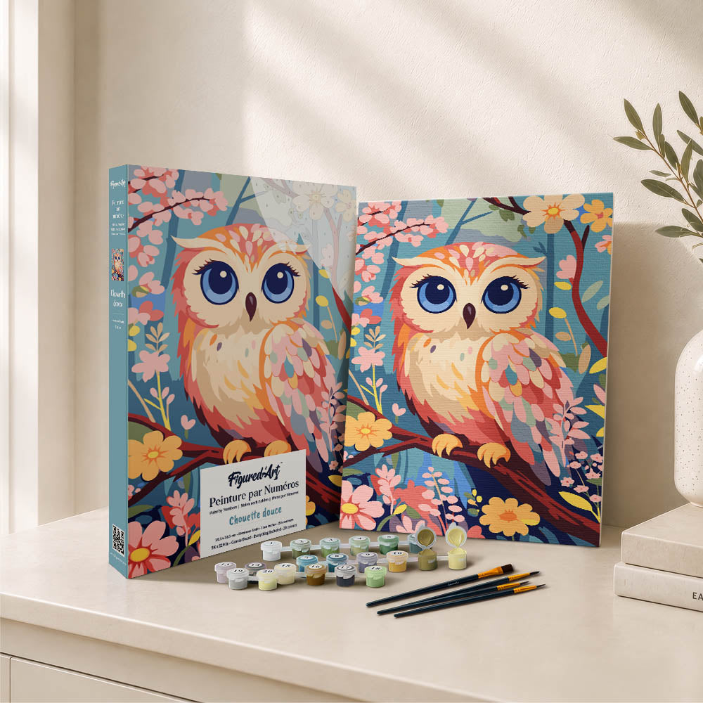 [PRE-ORDER] Gift Box Paint by Numbers - Sweet Owl