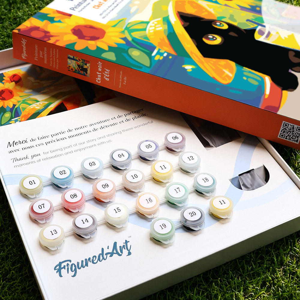 [PRE-ORDER] Gift Box Paint by Numbers - Summer Black Cat