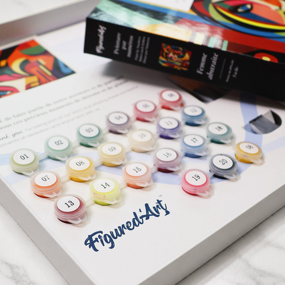 [PRE-ORDER] Gift Box Paint by Numbers - Abstract Woman