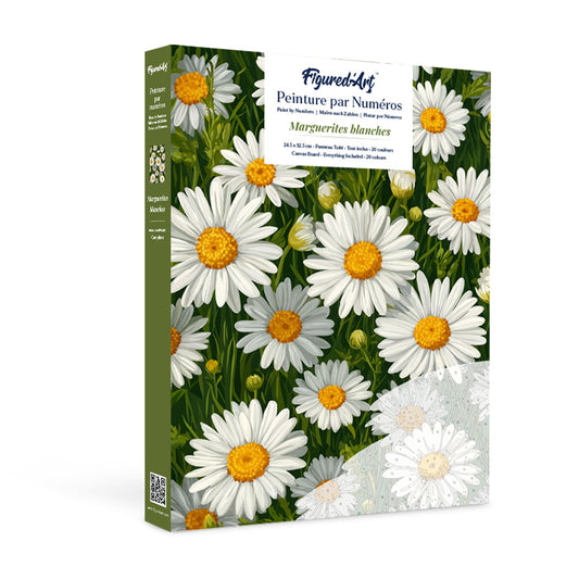 Paint by numbers kit for adults Gift Box Paint by numbers -White Daisies Figured'Art UK