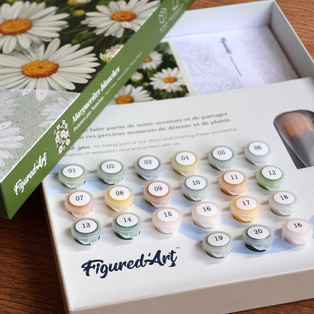 [PRE-ORDER] Gift Box Paint by Numbers - White Daisies