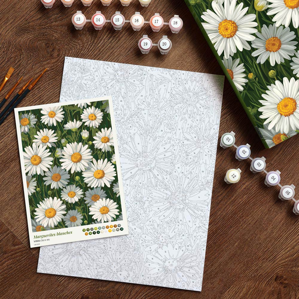 [PRE-ORDER] Gift Box Paint by Numbers - White Daisies
