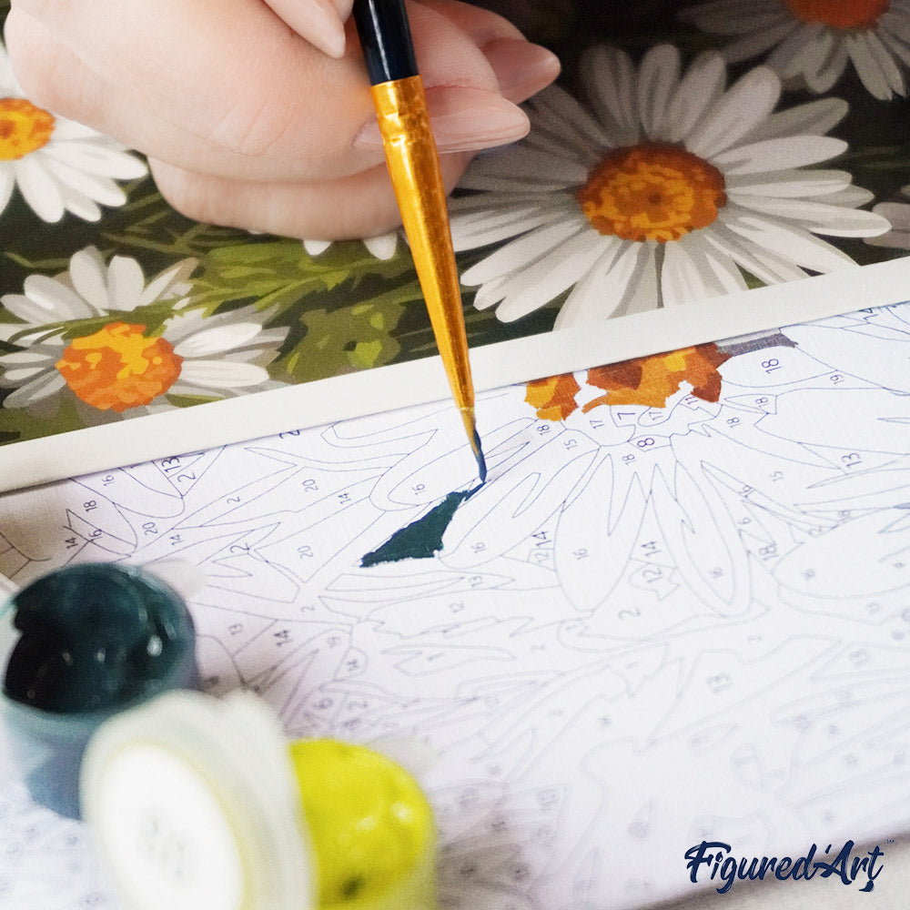 [PRE-ORDER] Gift Box Paint by Numbers - White Daisies