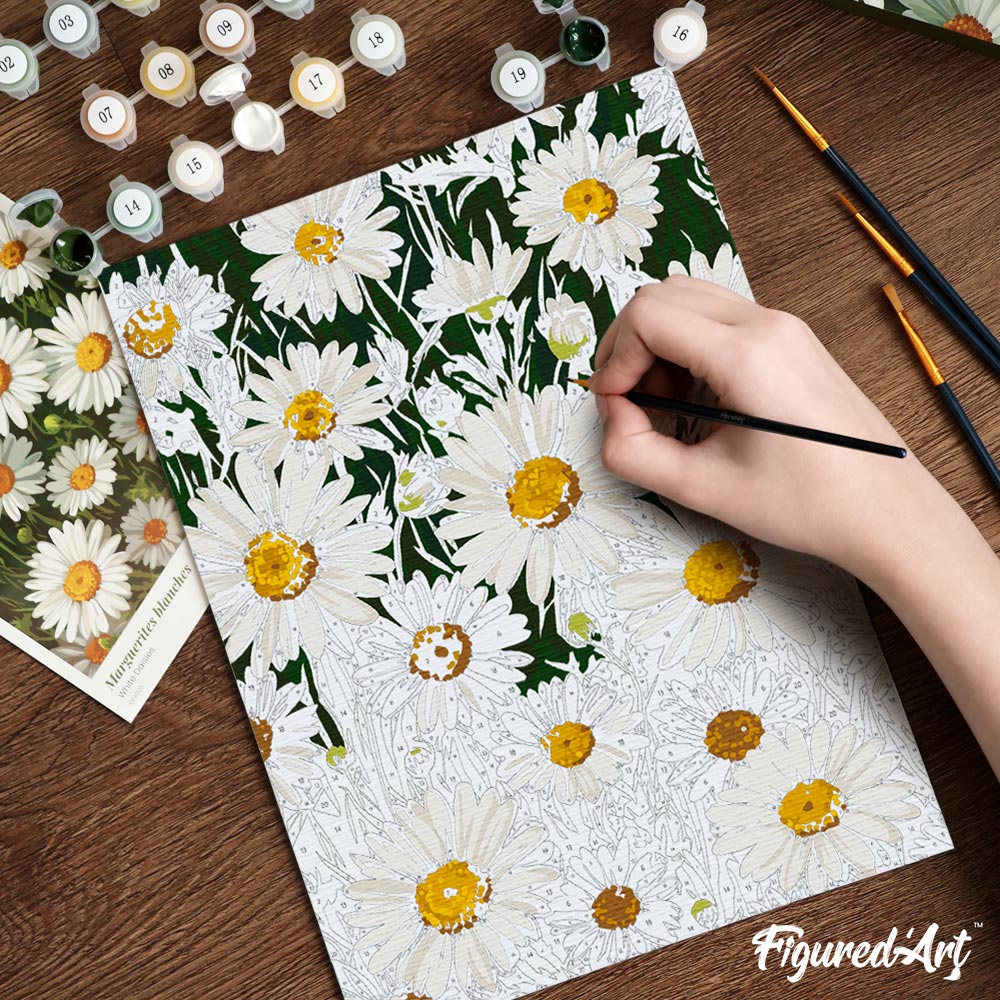 [PRE-ORDER] Gift Box Paint by Numbers - White Daisies