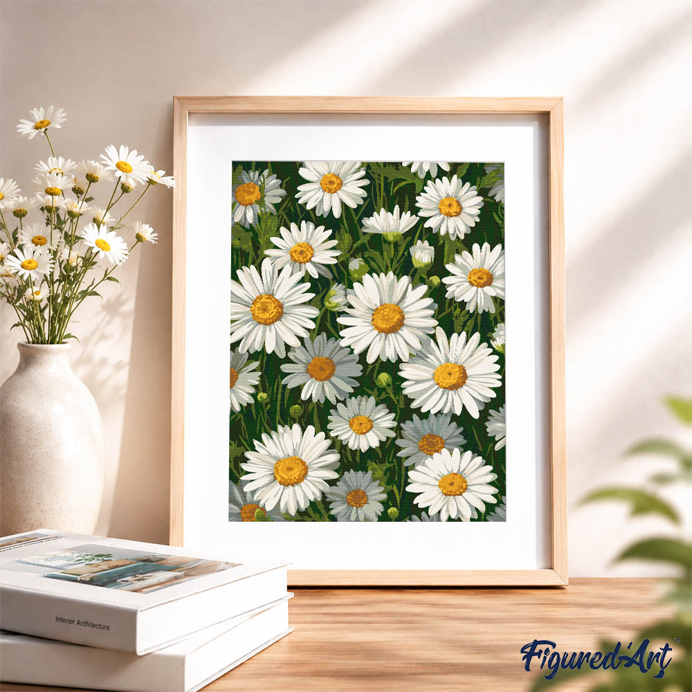 [PRE-ORDER] Gift Box Paint by Numbers - White Daisies