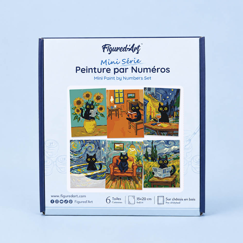 [PRE-ORDER] Mini Serie Paint by Numbers 15x20cm Framed Canvas (6 pieces) - Van Gogh Style Cat