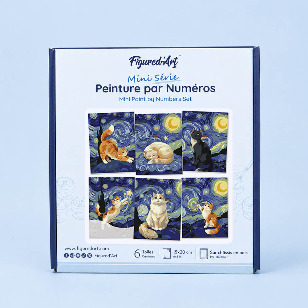 [PRE-ORDER] Mini Serie Paint by Numbers 15x20cm Framed Canvas (6 pieces) - Starry Night Cats