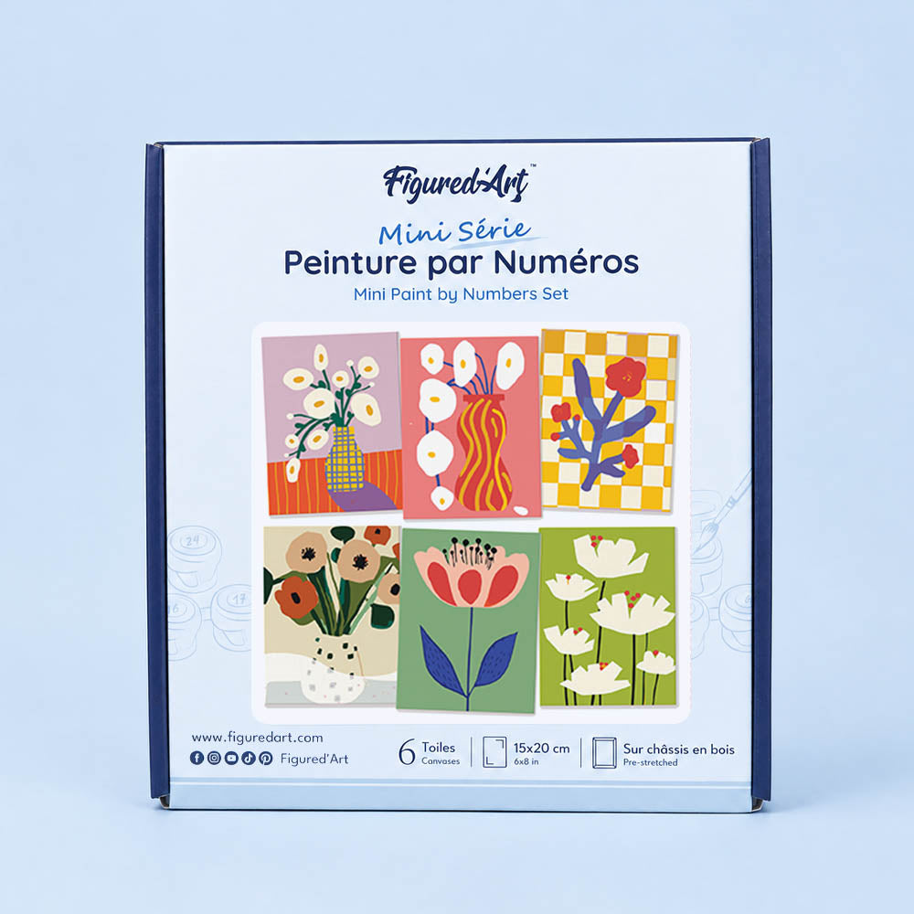 [PRE-ORDER] Mini Serie Paint by Numbers 15x20cm Framed Canvas (6 pieces) - Abstract Floral Vases