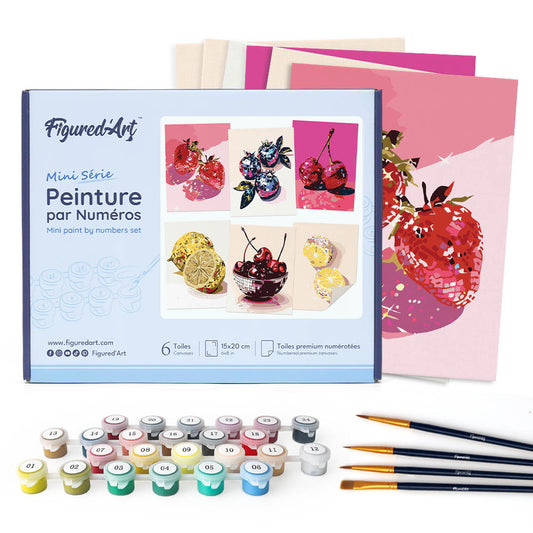 Paint by Numbers – 6 Canvas Set | Disco Fruits Figured'Art