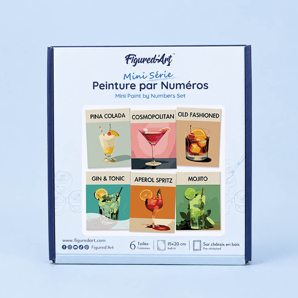 [PRE-ORDER] Mini Serie Paint by Numbers 15x20cm Framed Canvas (6 pieces) - Modern Bar Mixology Art Series 1