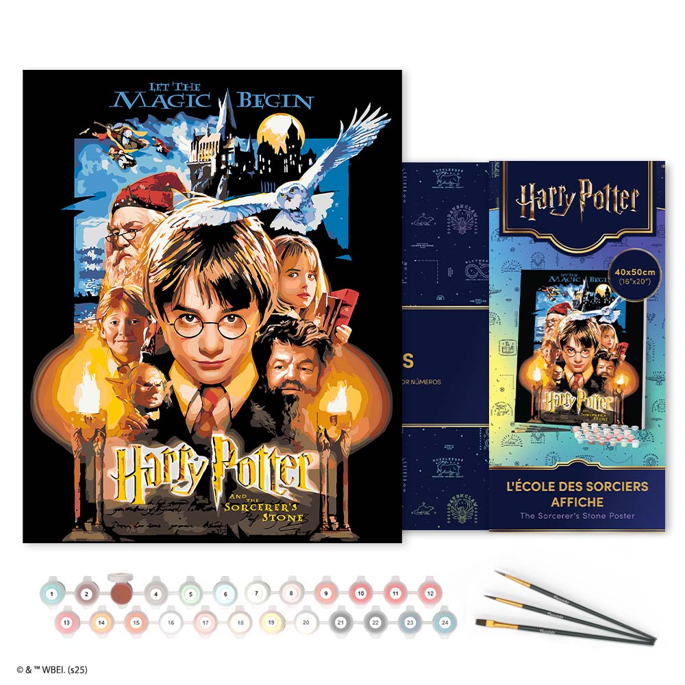 Paint by numbers kit for adults Harry Potter and the Sorcerer's Stone Poster Figured'Art UK