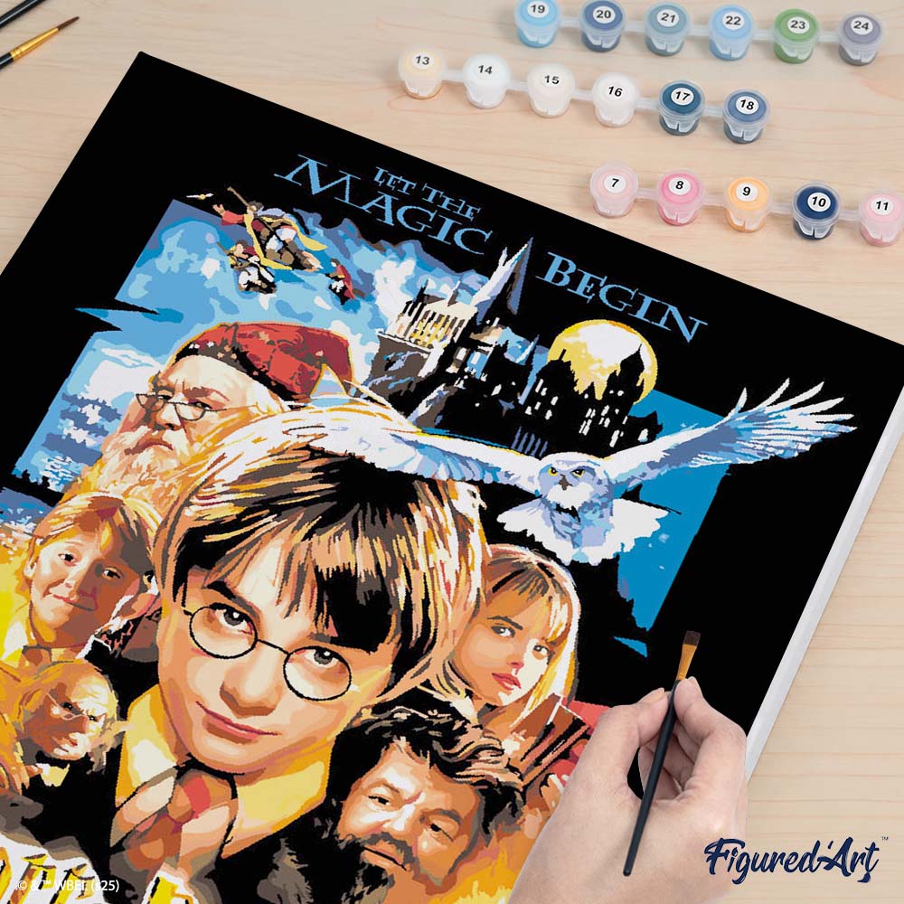 [PRE-ORDER] Paint by numbers Harry Potter and the Sorcerer's Stone Poster - Framed canvas