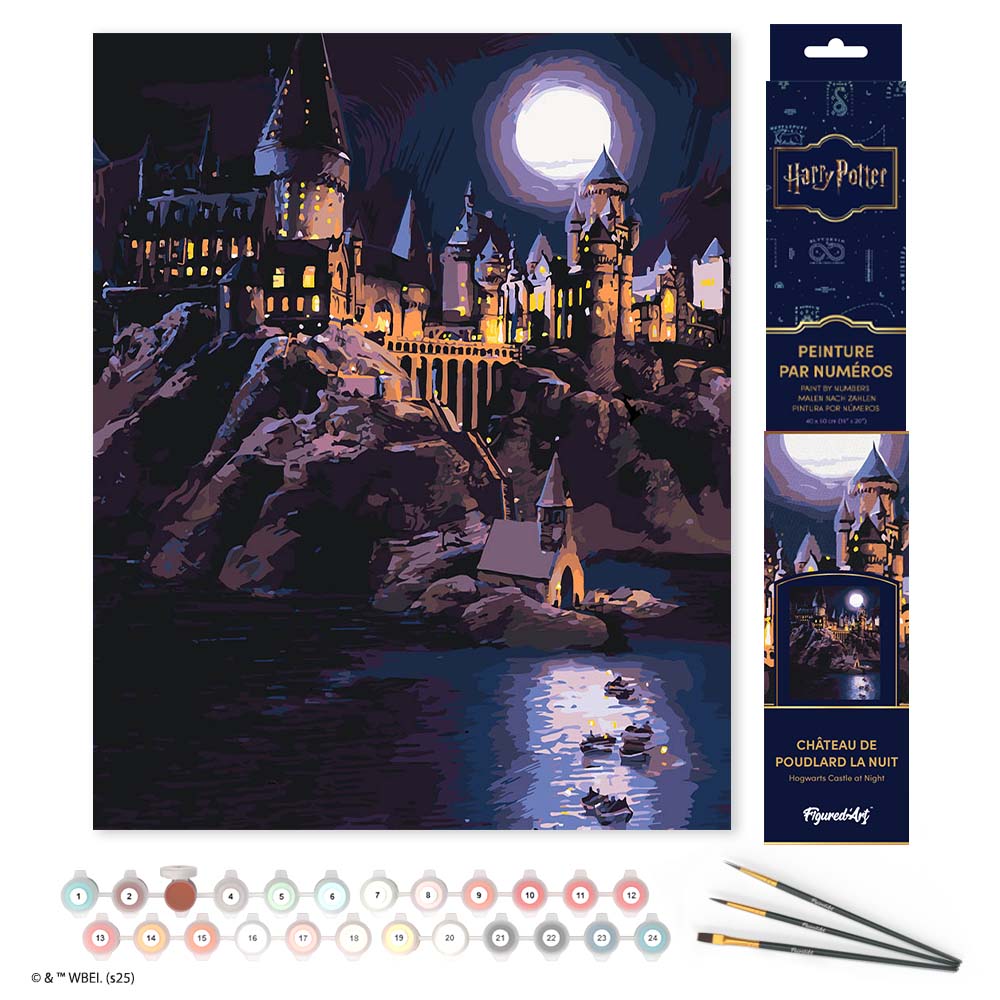 Paint by numbers kit for adults Harry Potter - Hogwarts Castle at Night Figured'Art UK
