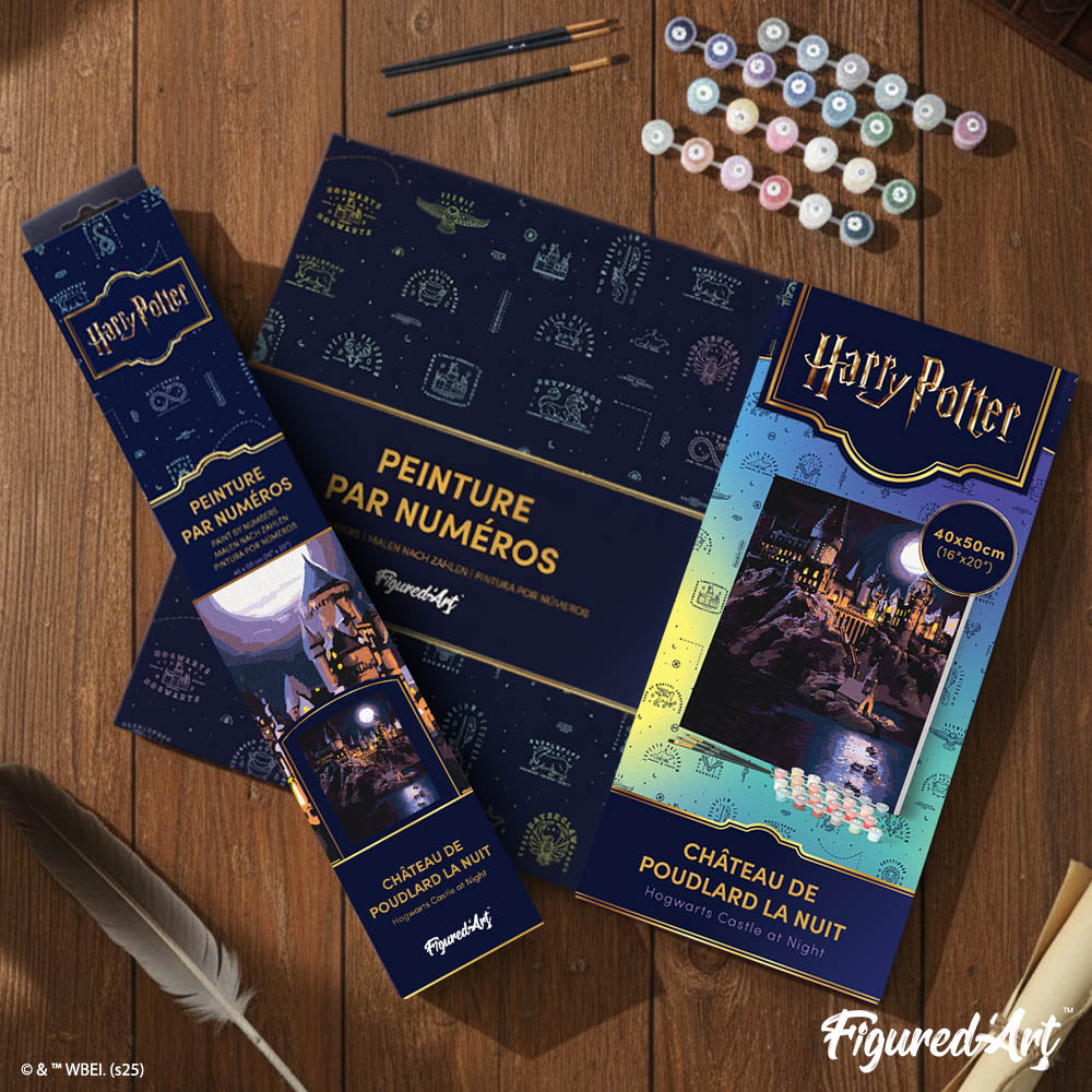 [PRE-ORDER] Paint by numbers Harry Potter - Hogwarts Castle at Night - Rolled canvas