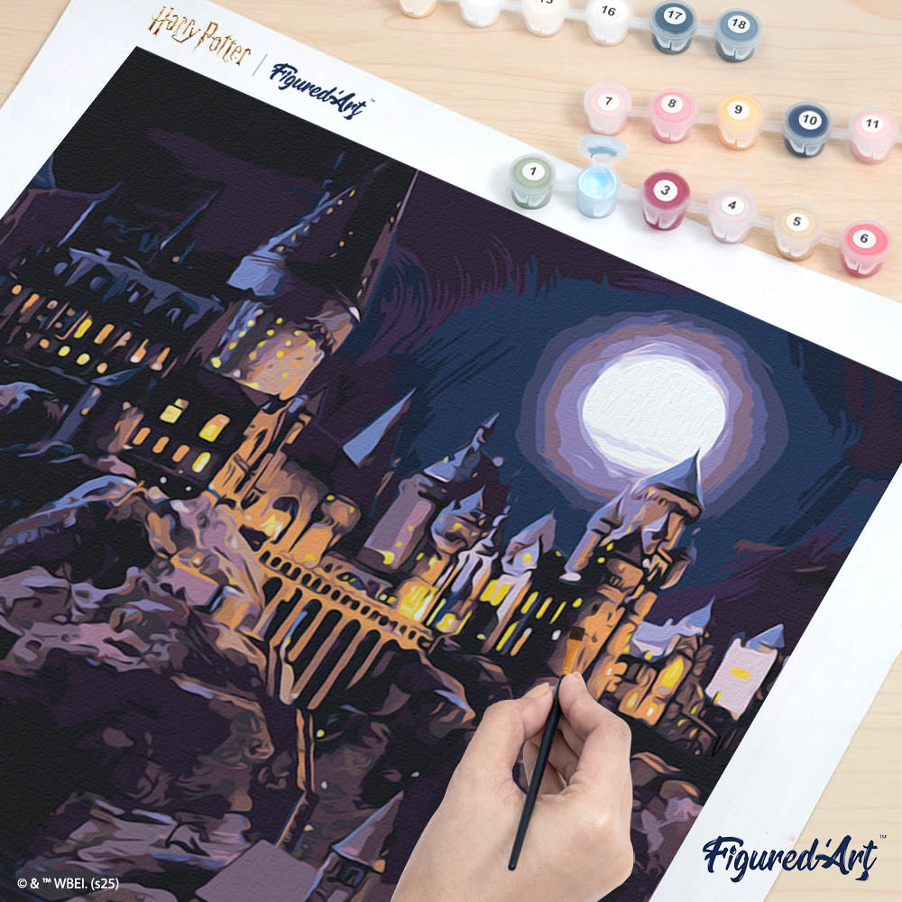 [PRE-ORDER] Paint by numbers Harry Potter - Hogwarts Castle at Night - Rolled canvas