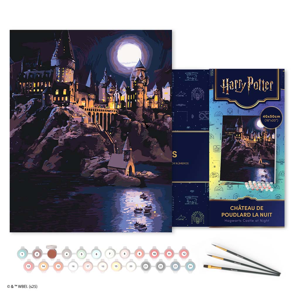 Paint by numbers kit for adults Harry Potter - Hogwarts Castle at Night Figured'Art UK