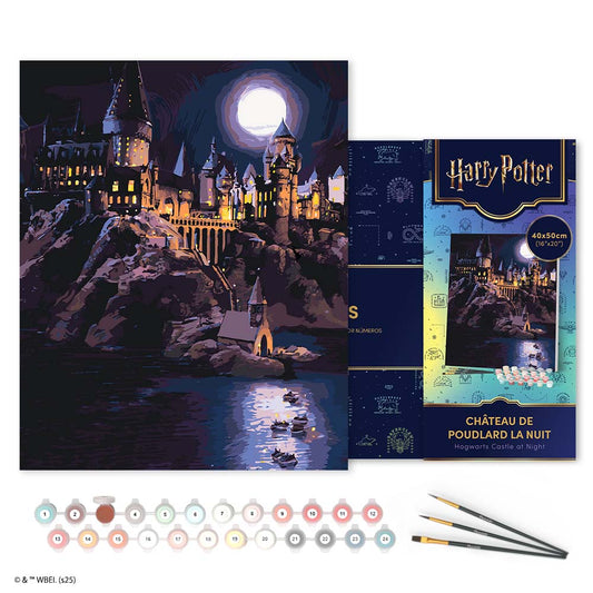 Paint by numbers kit for adults Harry Potter - Hogwarts Castle at Night Figured'Art UK
