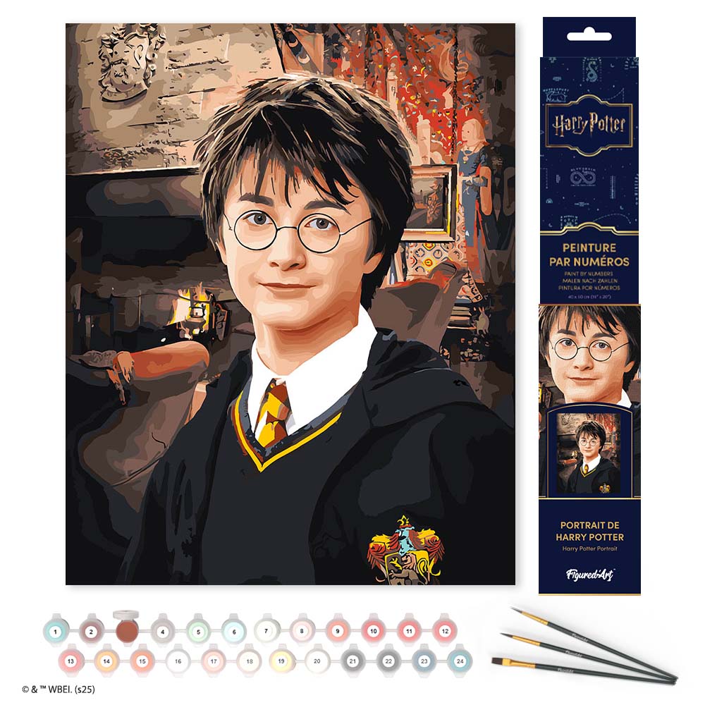 Paint by numbers kit for adults Harry Potter Portrait Figured'Art UK