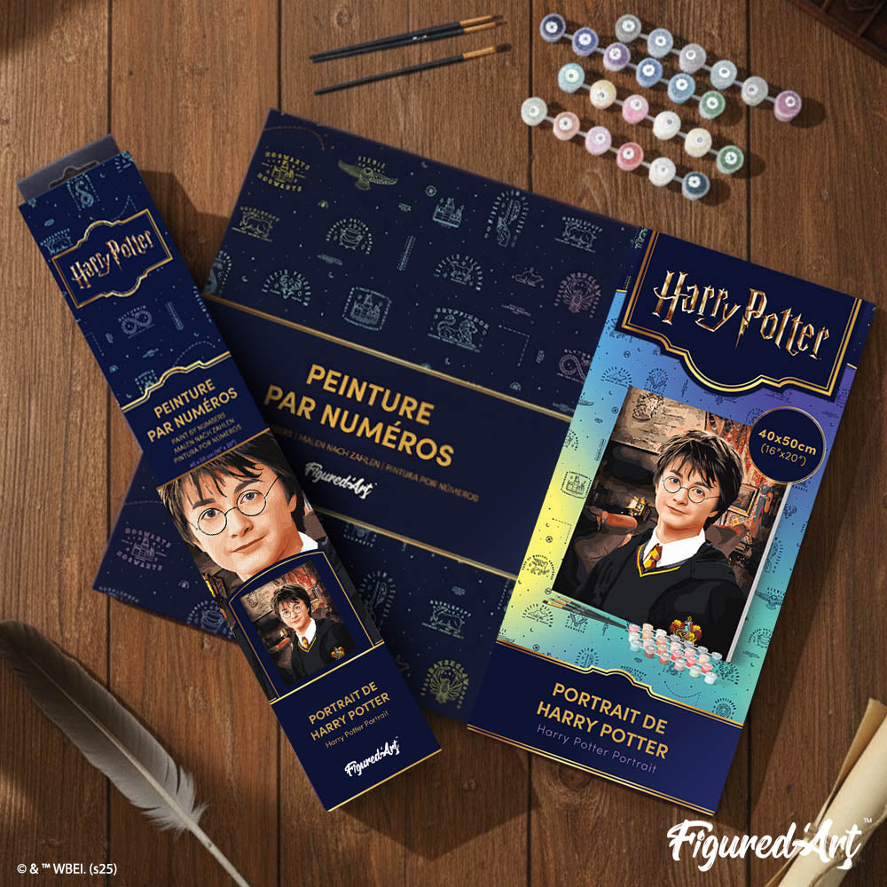 [PRE-ORDER] Paint by numbers Harry Potter Portrait - Rolled canvas