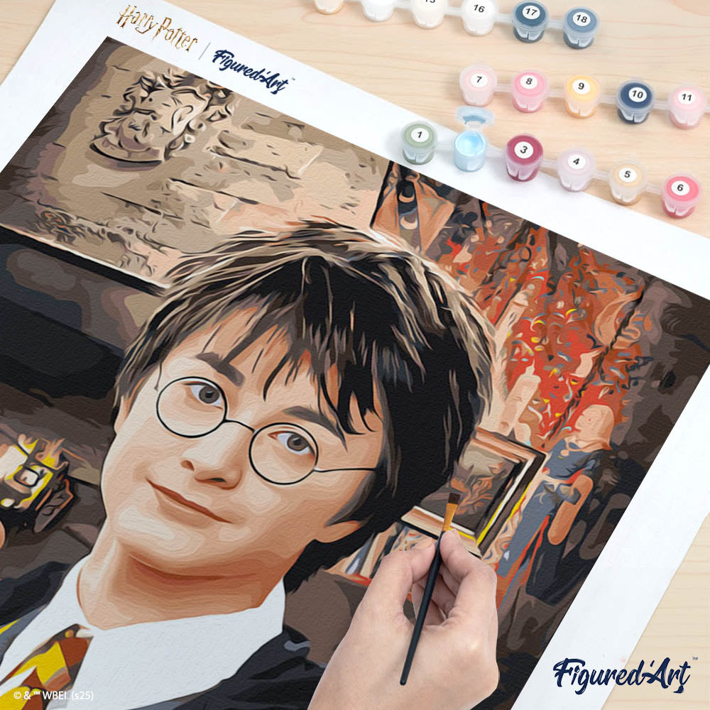 [PRE-ORDER] Paint by numbers Harry Potter Portrait - Rolled canvas