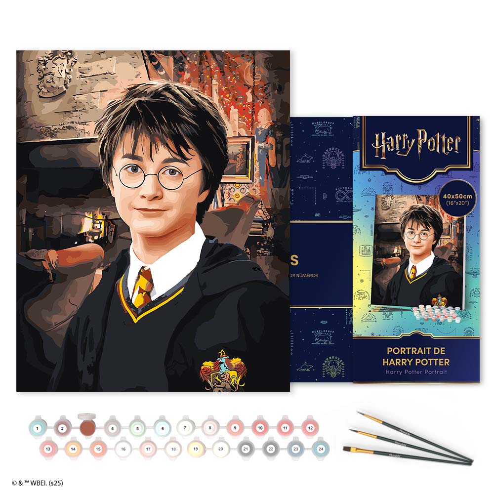 Paint by numbers kit for adults Harry Potter Portrait Figured'Art UK
