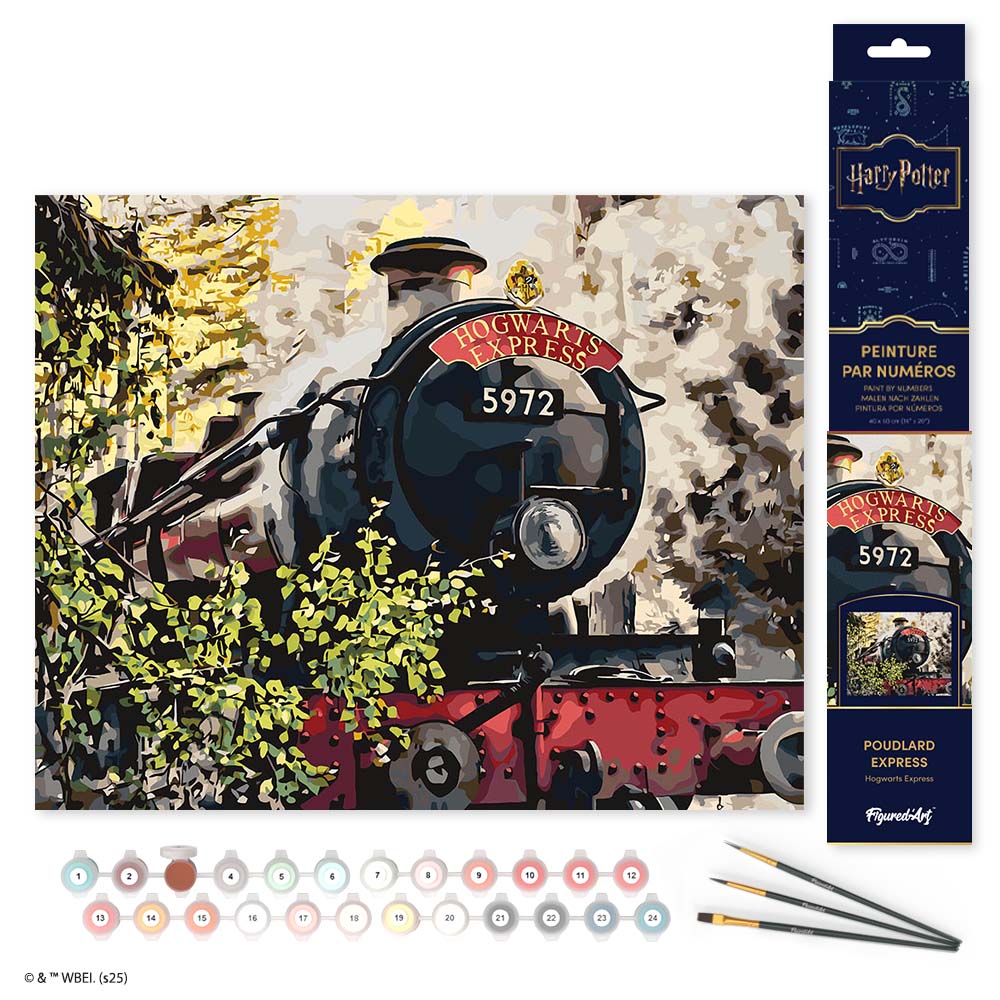 Paint by numbers kit for adults Harry Potter - Hogwarts Express Figured'Art UK
