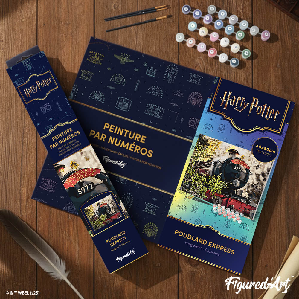 [PRE-ORDER] Paint by numbers Harry Potter - Hogwarts Express - Rolled canvas