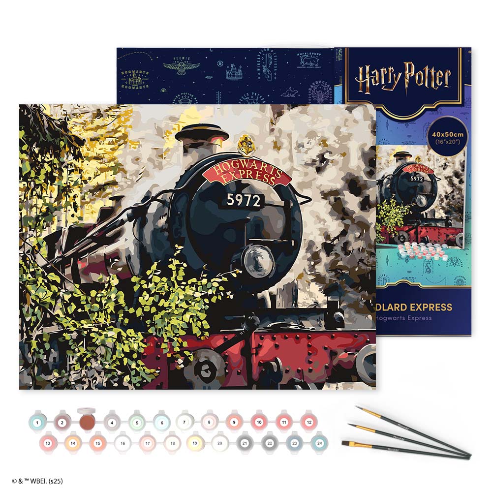 Paint by numbers kit for adults Harry Potter - Hogwarts Express Figured'Art UK
