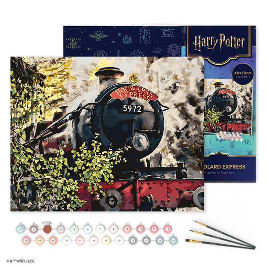 Paint by numbers kit for adults Harry Potter - Hogwarts Express Figured'Art UK
