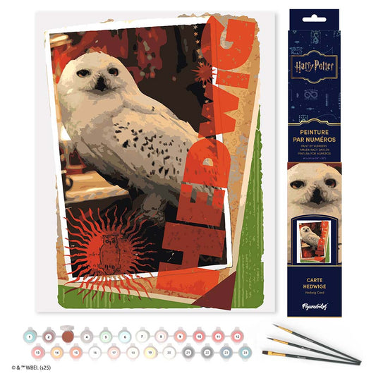 Paint by numbers kit for adults Harry Potter - Hedwig Card Figured'Art UK