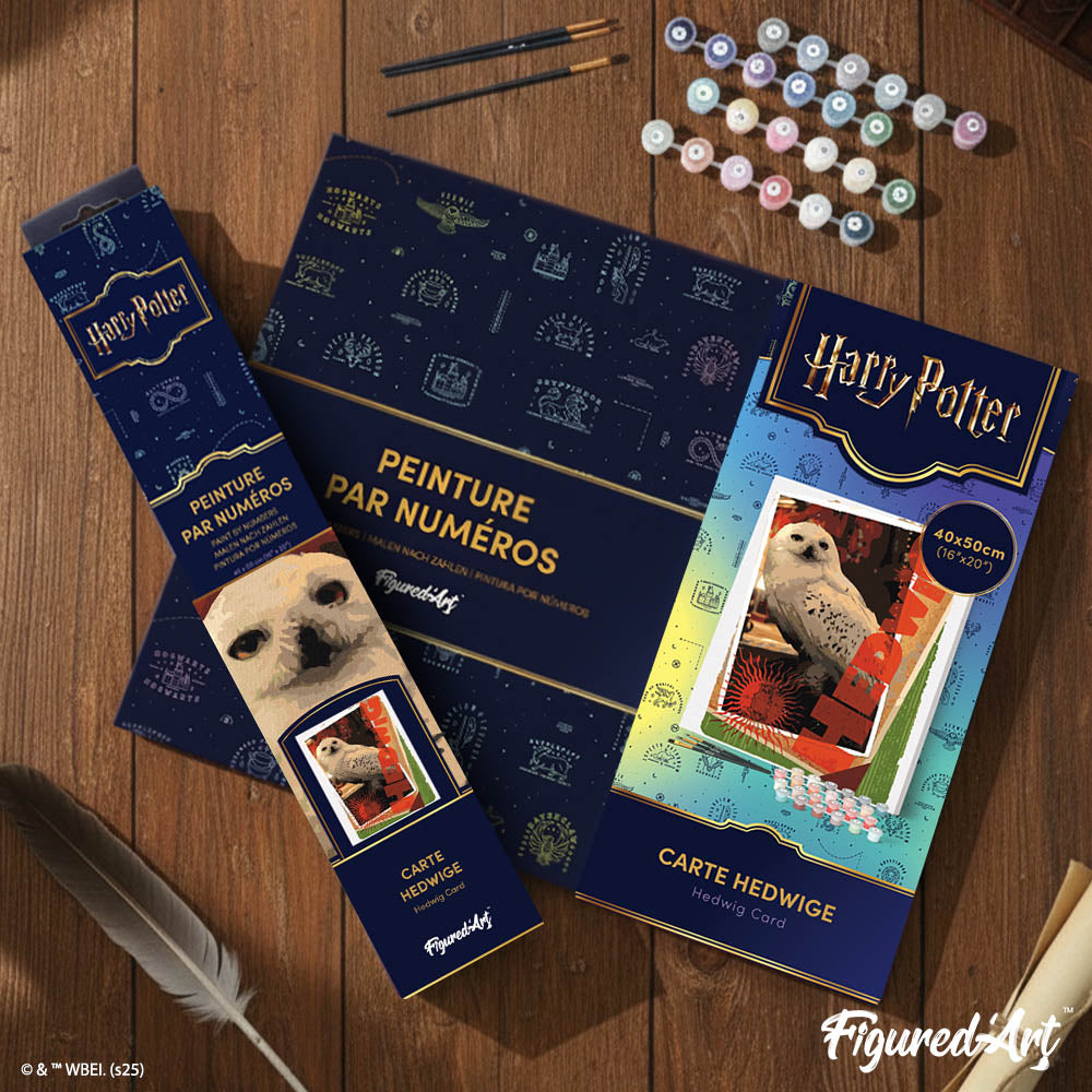 [PRE-ORDER] Paint by numbers Harry Potter - Hedwig Card - Framed canvas