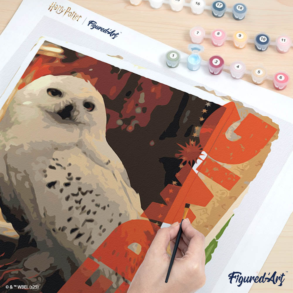 [PRE-ORDER] Paint by numbers Harry Potter - Hedwig Card - Rolled canvas