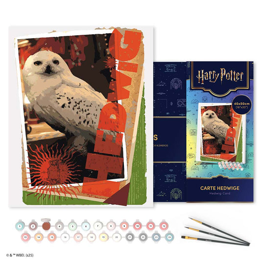 Paint by numbers kit for adults Harry Potter - Hedwig Card Figured'Art UK