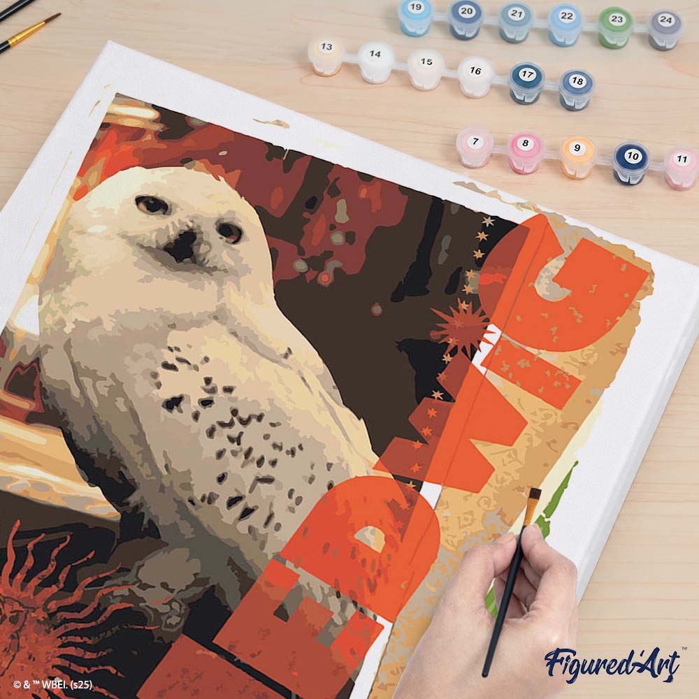 [PRE-ORDER] Paint by numbers Harry Potter - Hedwig Card - Framed canvas
