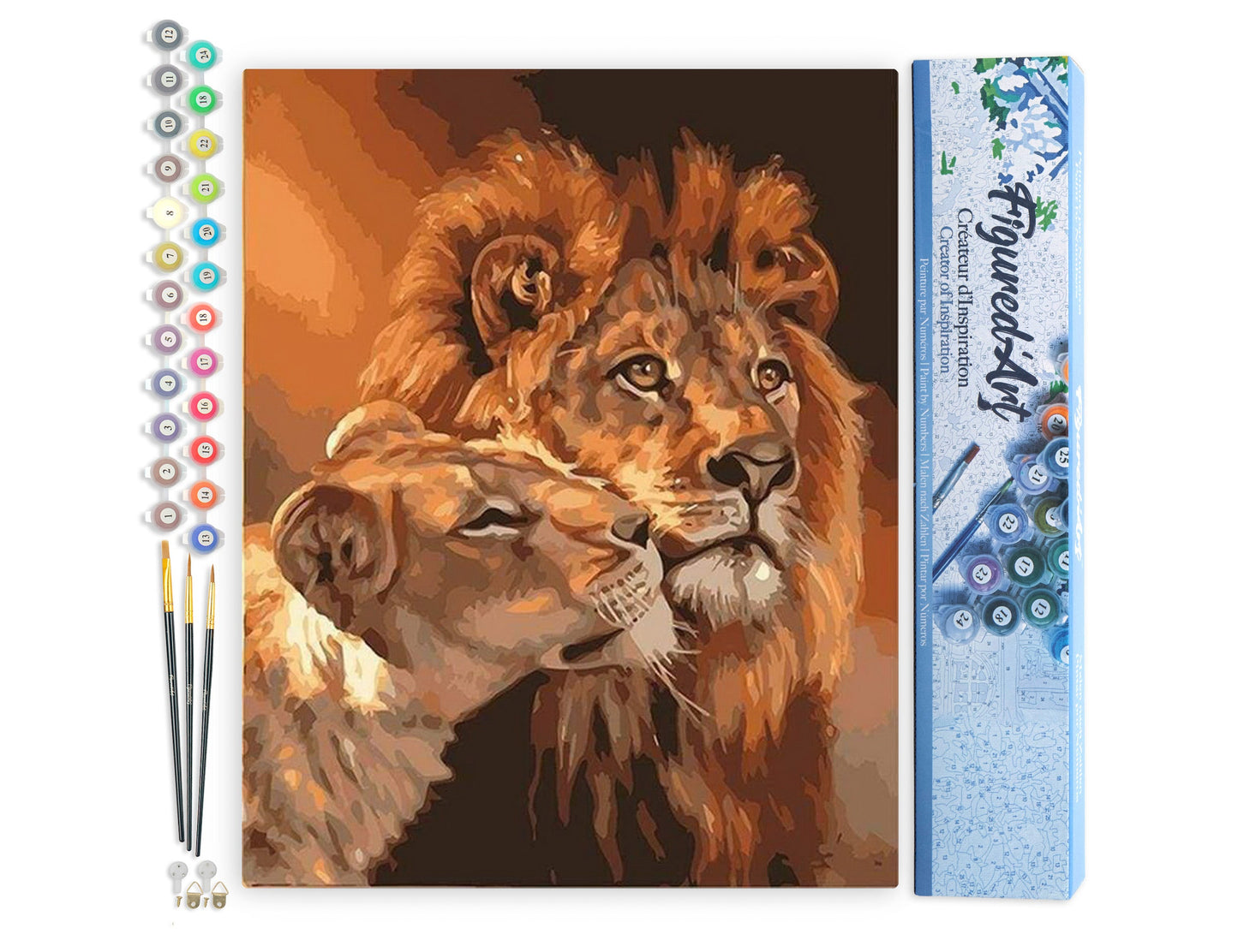 Paint by numbers Lion and Lioness Couple - Rolled canvas