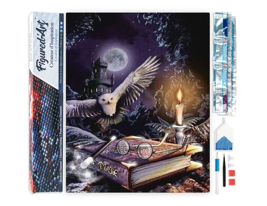 Diamond Painting - Magic Owl - 40x50cm Rolled canvas