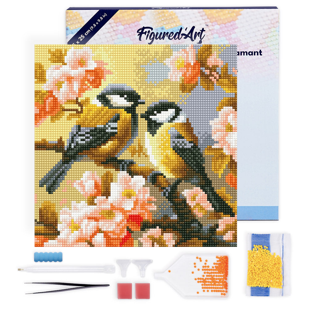 Mini Diamond Painting 25x25cm - Pair of Birds amidst Blossoms - Framed canvas